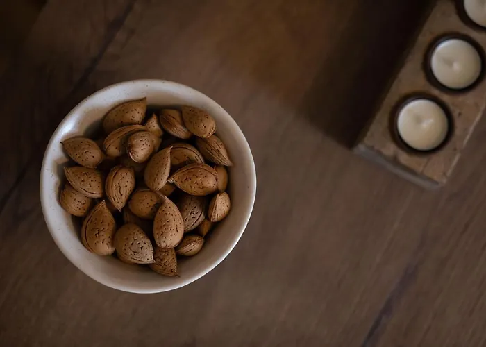 Apartman Terra Medius Zadar